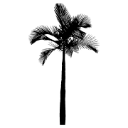 Gringa Swimwear logo
